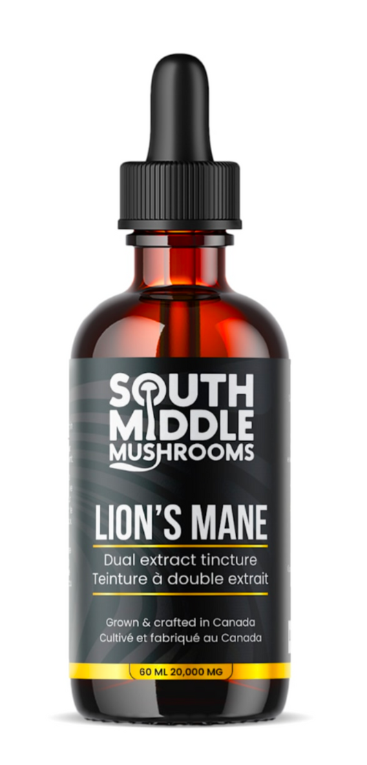 Lions Mane dual extract tincture